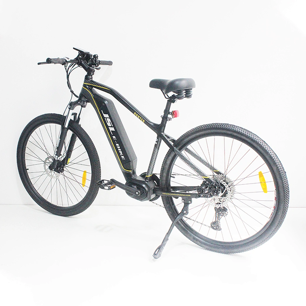 electric bicycle  ebike  electric bike