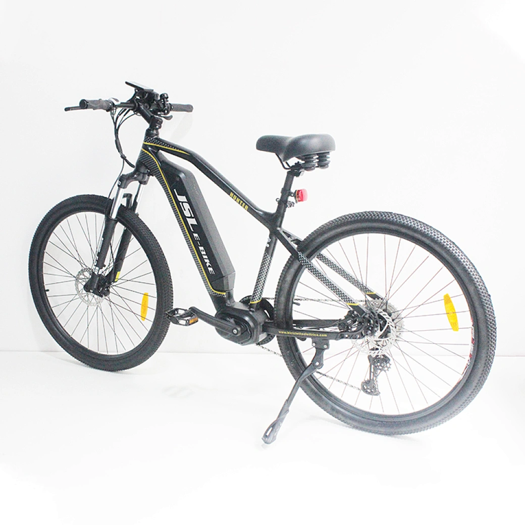 electric bicycle ebike electric bike