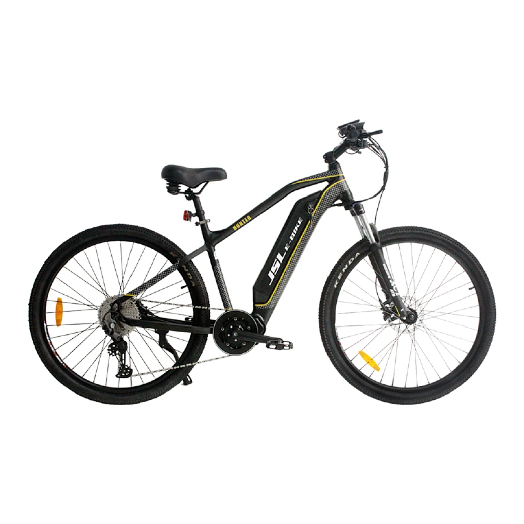 electric bicycle ebike electric bike
